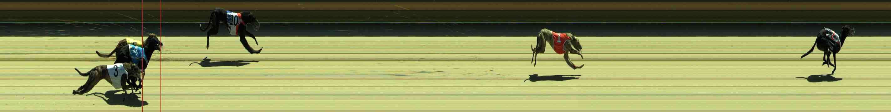 Photo finish for Sale Race 2