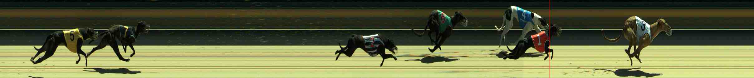 Photo finish for Sale Race 3