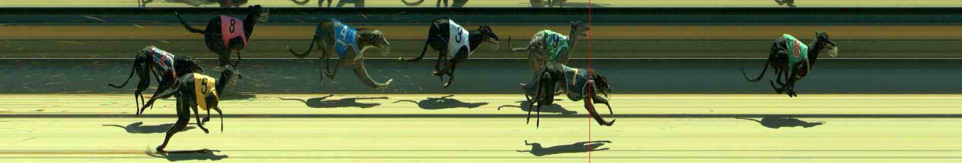 Photo finish for Sale Race 4