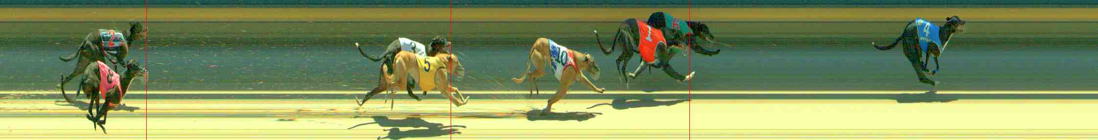 Photo finish for Sale Race 5
