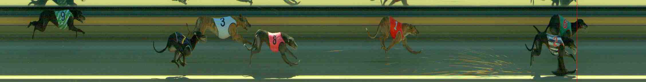 Photo finish for Sale Race 6