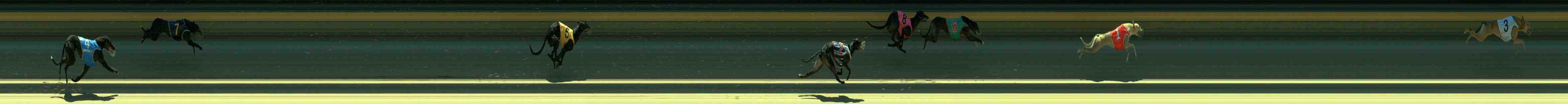 Photo finish for Sale Race 7