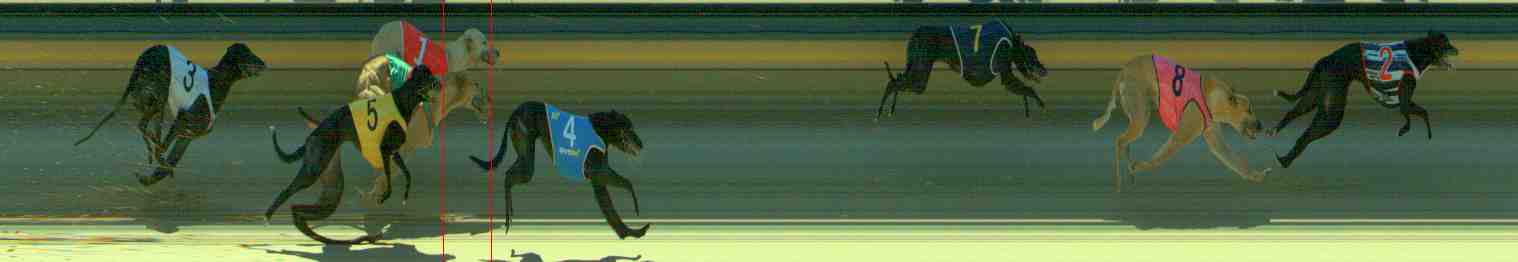 Photo finish for Sale Race 9