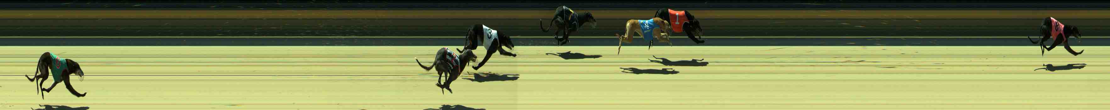 Photo finish for Sale Race 11