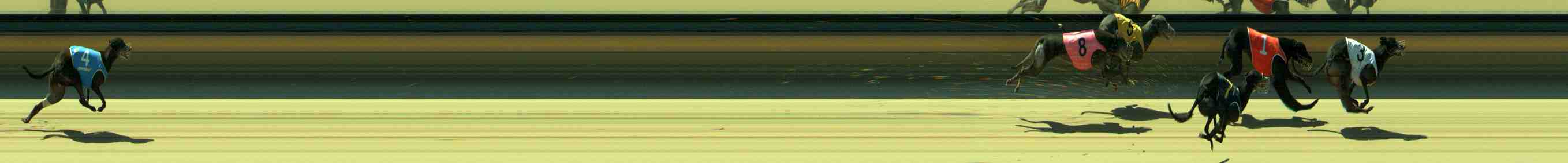 Photo finish for Sale Race 12