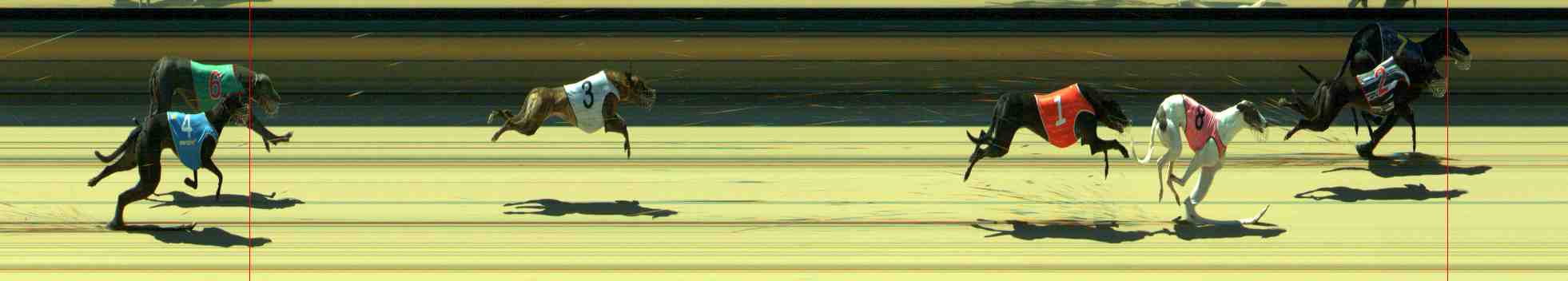 Race result finish photo