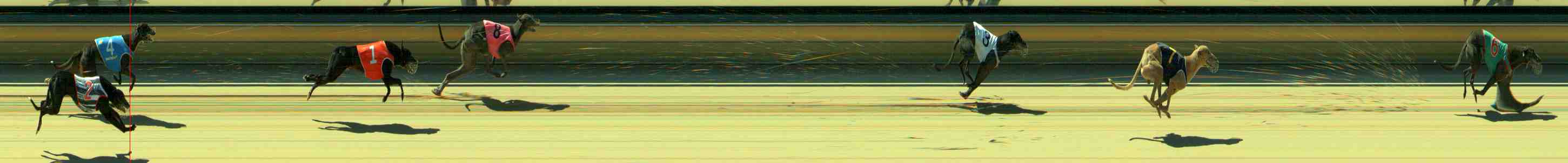 Photo finish for Sale Race 3