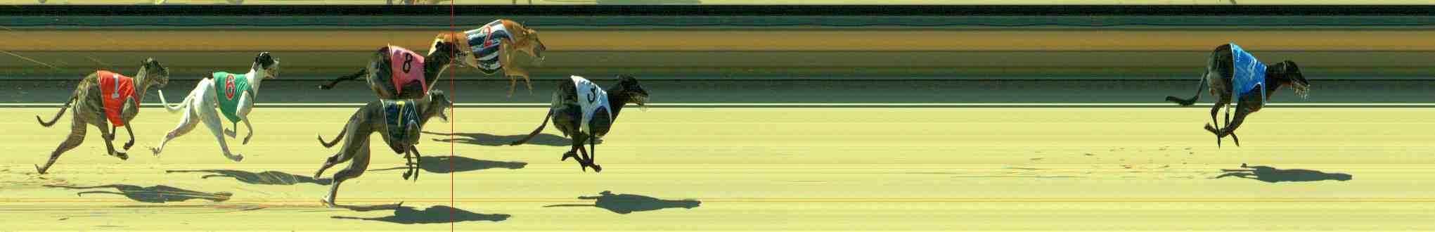 Photo finish for Sale Race 6