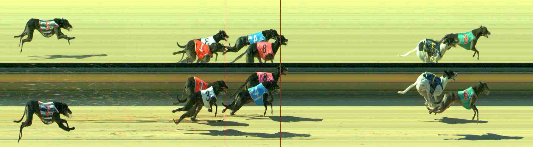 Photo finish for Sale Race 7