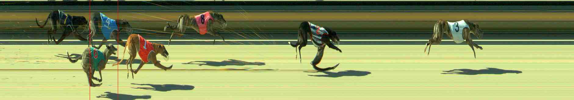 Photo finish for Sale Race 8