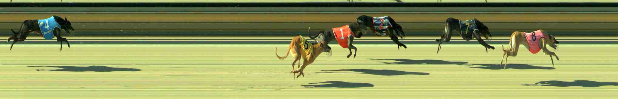 Photo finish for Sale Race 10