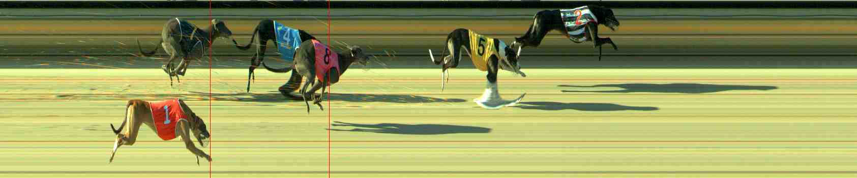 Photo finish for Sale Race 11