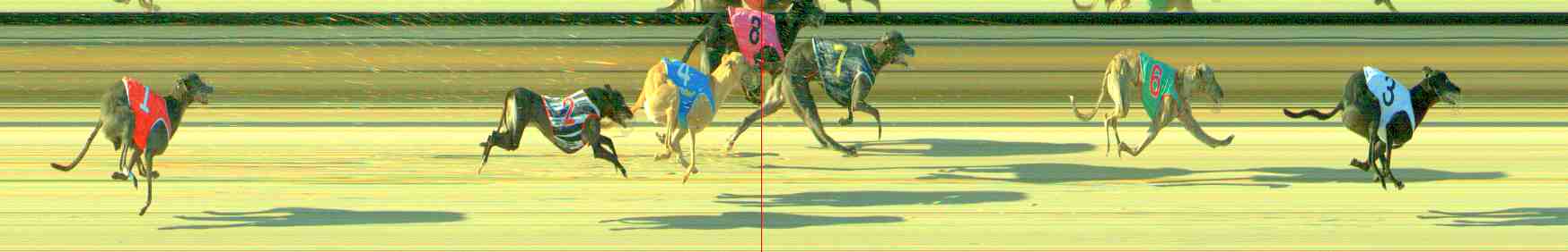Photo finish for Sale Race 12