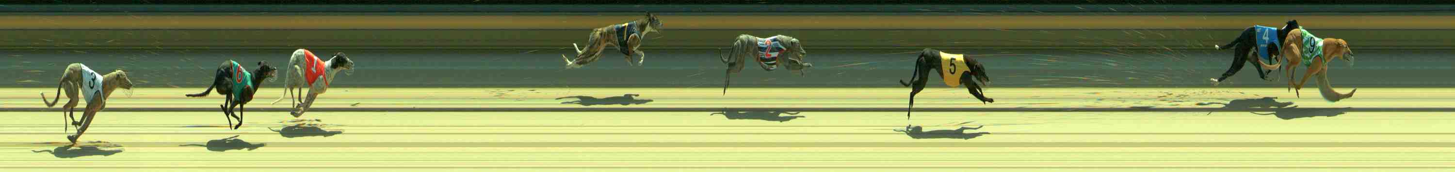 Photo finish for Sale Race 3