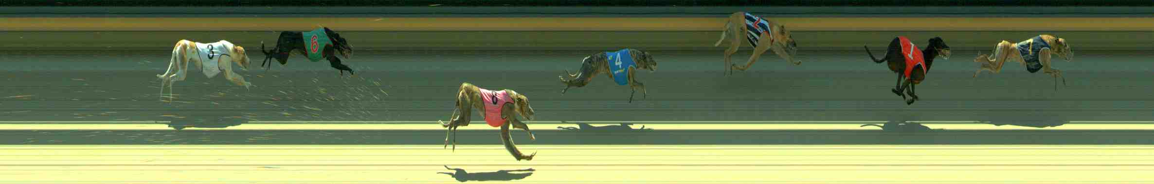 Photo finish for Sale Race 5