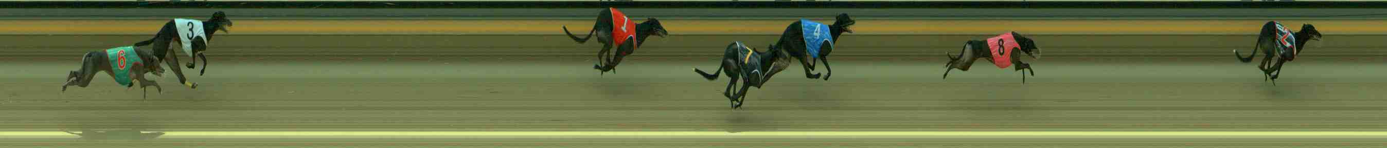 Photo finish for Sale Race 6