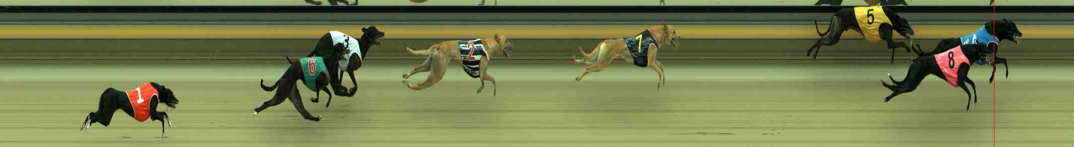 Photo finish for Sale Race 7