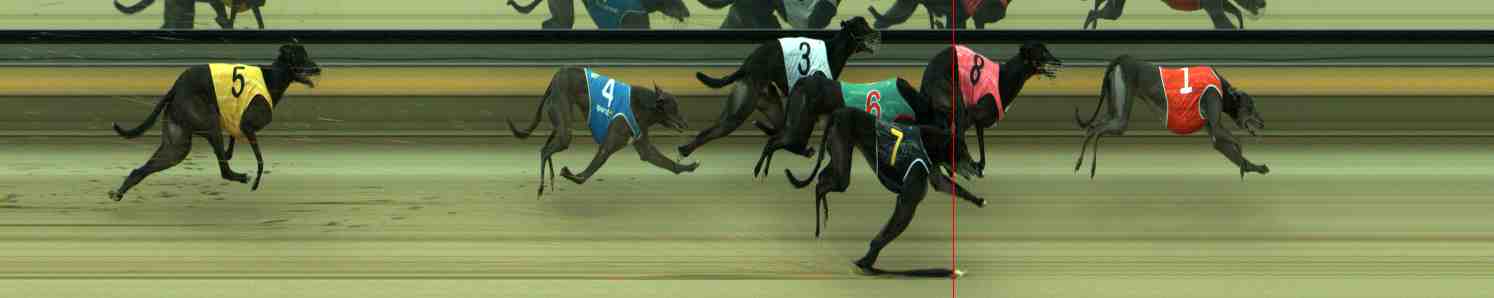 Photo finish for Sale Race 8