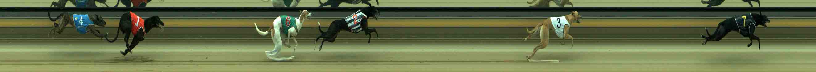 Photo finish for Sale Race 9