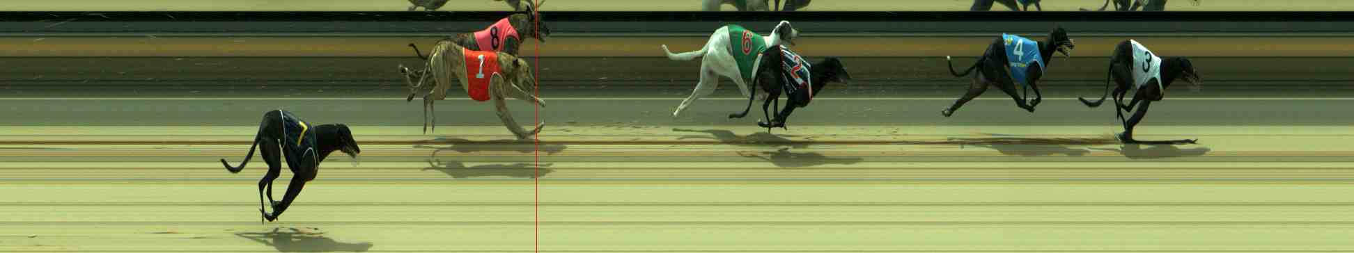 Photo finish for Sale Race 10