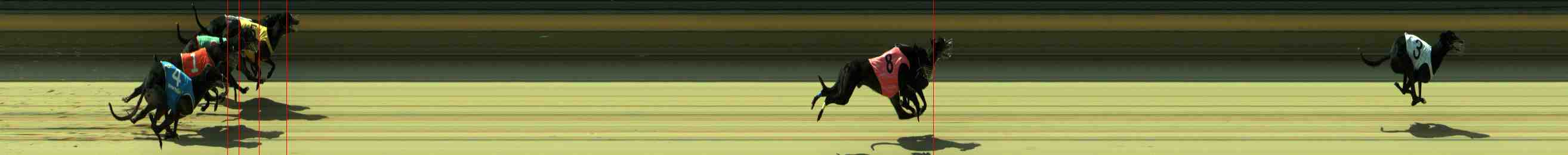 Photo finish for Sale Race 12