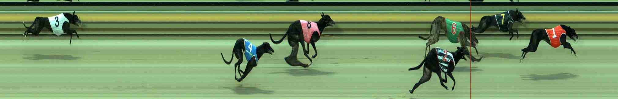 Photo finish for Sale Race 2