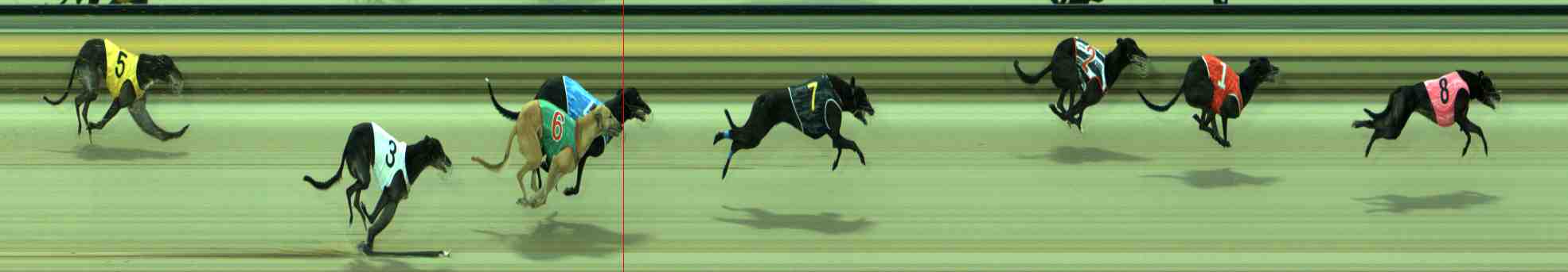 Photo finish for Sale Race 4