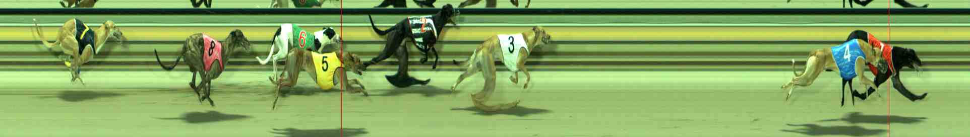 Photo finish for Sale Race 5