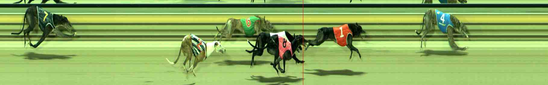 Photo finish for Sale Race 6