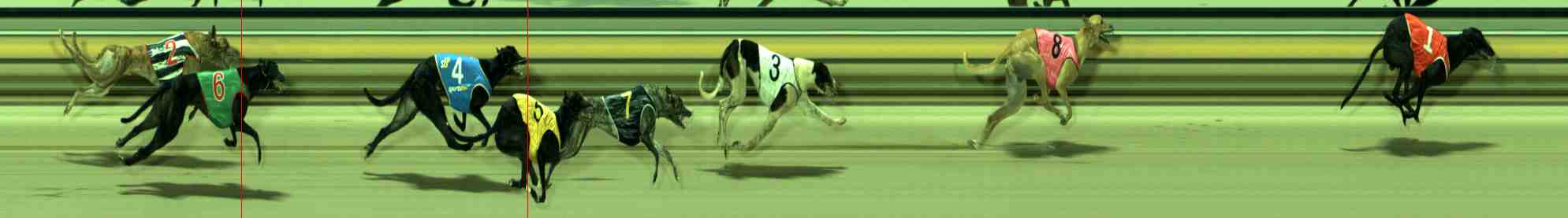 Photo finish for Sale Race 7
