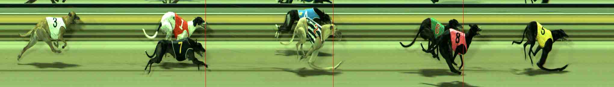 Photo finish for Sale Race 8