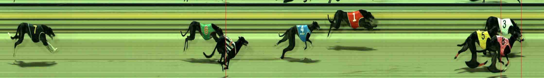 Photo finish for Sale Race 9