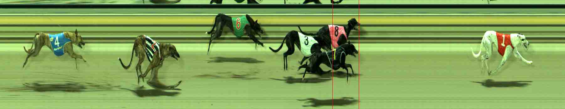 Photo finish for Sale Race 10