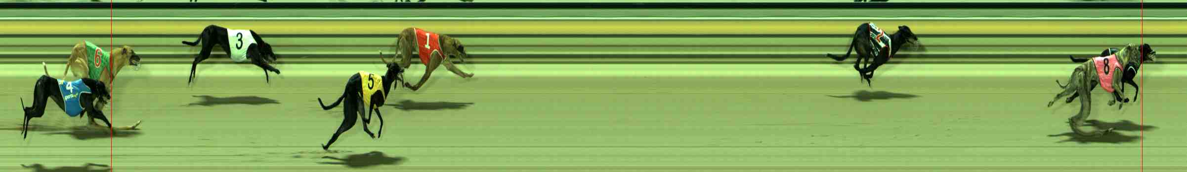 Photo finish for Sale Race 11