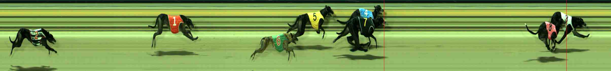Photo finish for Sale Race 12