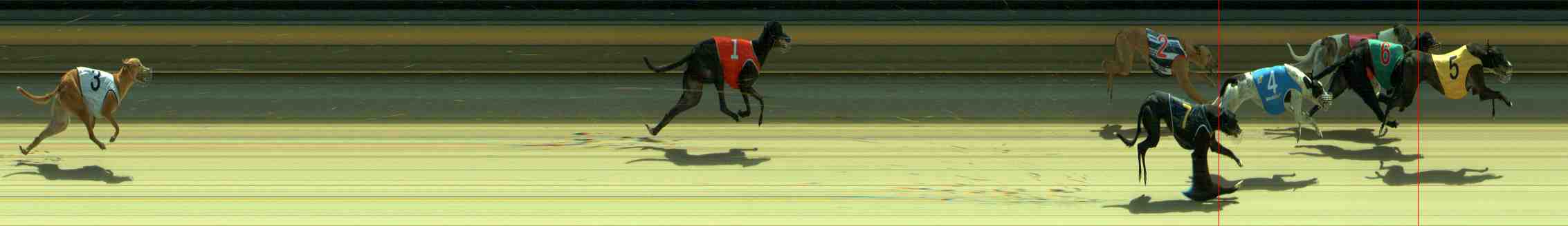 Photo finish for Sale Race 2