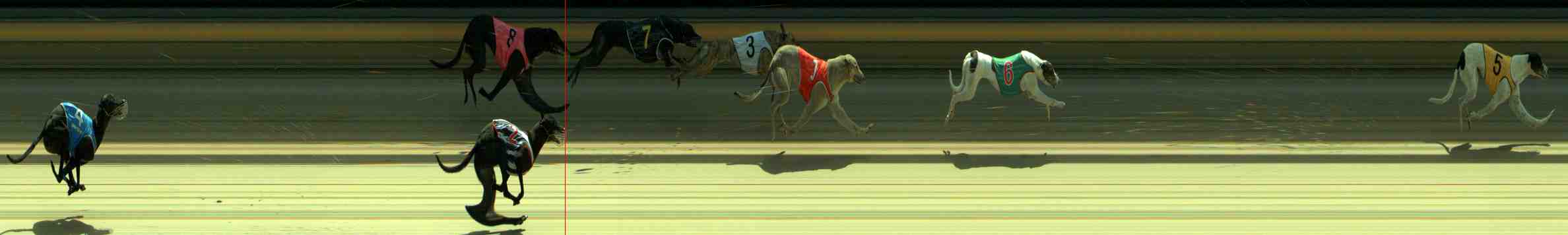 Photo finish for Sale Race 3