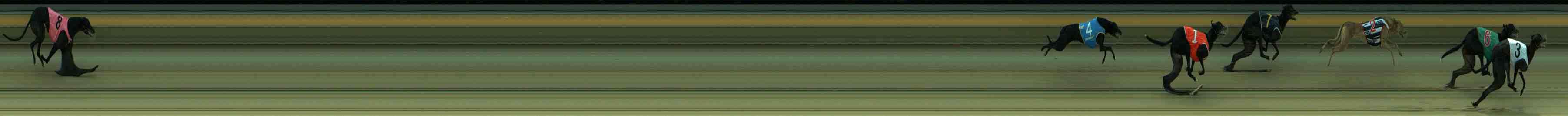 Photo finish for Sale Race 4