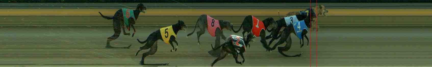 Photo finish for Sale Race 6