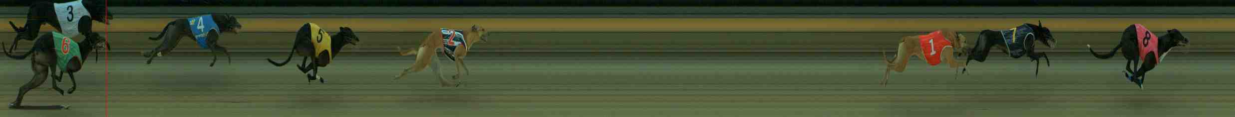 Photo finish for Sale Race 7
