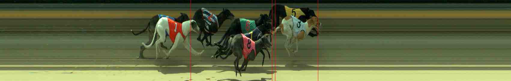 Photo finish for Sale Race 8