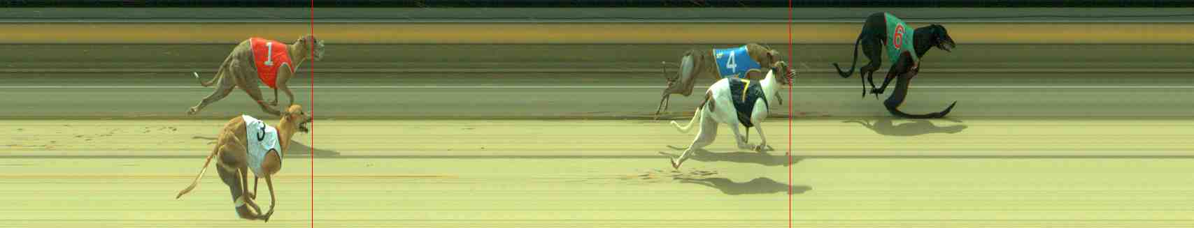 Photo finish for Sale Race 9
