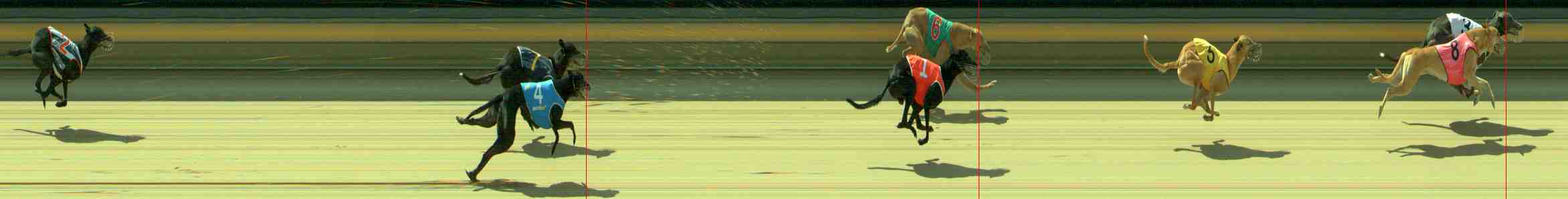 Photo finish for Sale Race 12