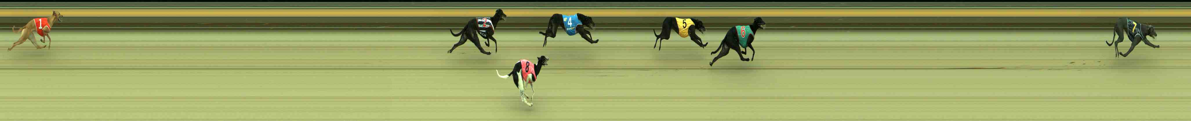 Race result finish photo