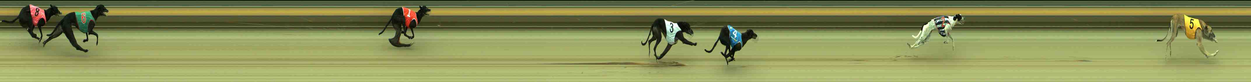 Photo finish for Sale Race 2