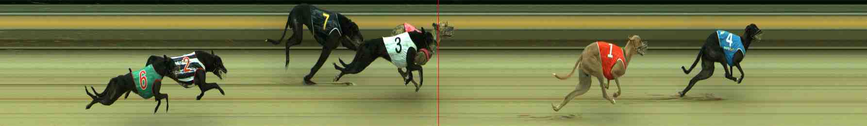Photo finish for Sale Race 3