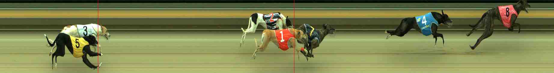 Photo finish for Sale Race 4