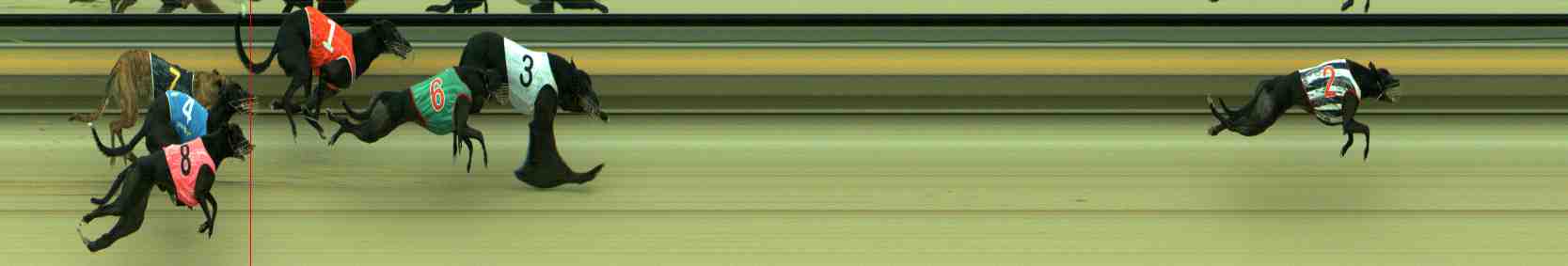 Photo finish for Sale Race 5