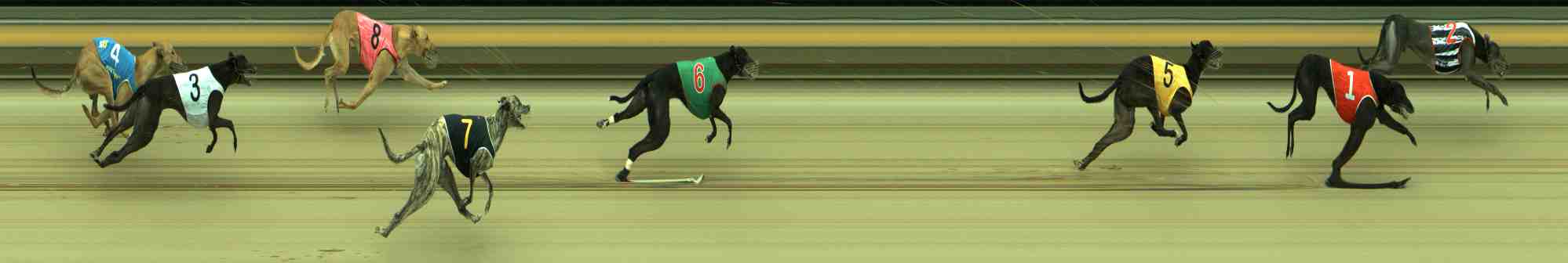 Photo finish for Sale Race 6