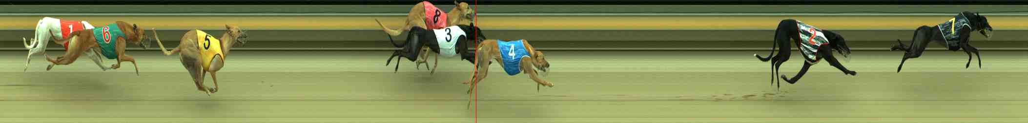 Photo finish for Sale Race 7